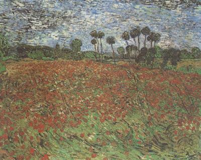 Vincent Van Gogh Field with Poppies (nn04) France oil painting art